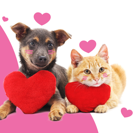 My Furry Valentine 2026 - logo